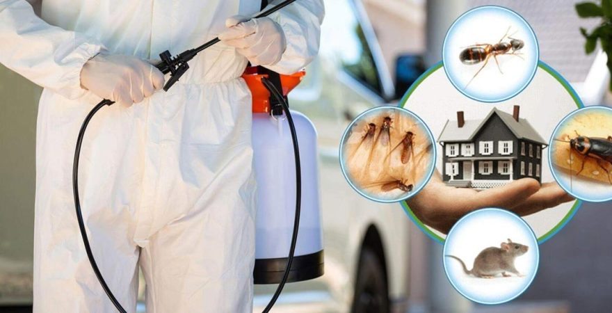 Mansuroğlu Böcek İlaçlama