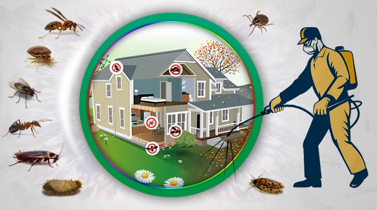 Mansuroğlu Böcek İlaçlama