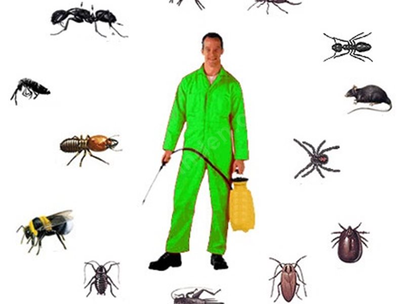 Mansuroğlu Böcek İlaçlama